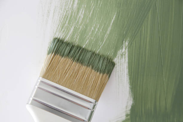 Mold Remediation for Rental Properties in Eagle, NE