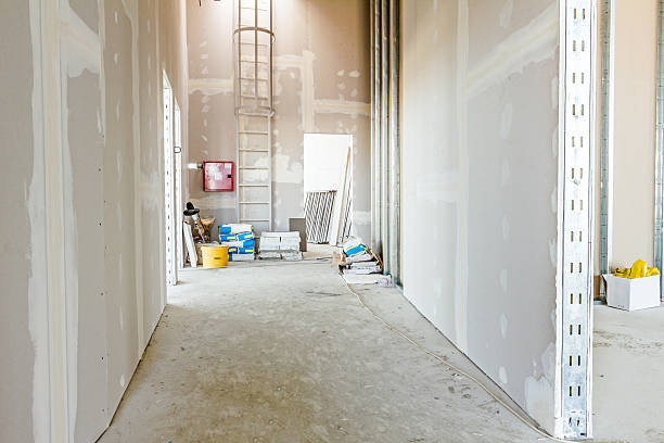 Trusted Eagle, NE Mold Removal Experts